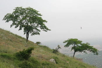 Крымские зарисовки / крым