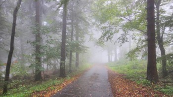 Осень туманная / Природы чудные мгновенья