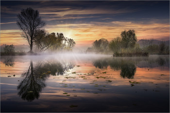 &nbsp; / Morgens an einem kleinen Teich in der Steiermark.