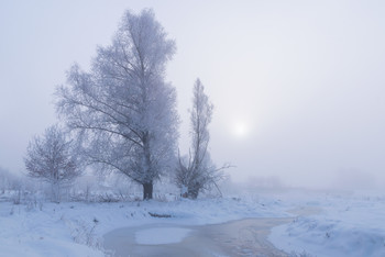 Дыхание зимы / туманное февральское утро
