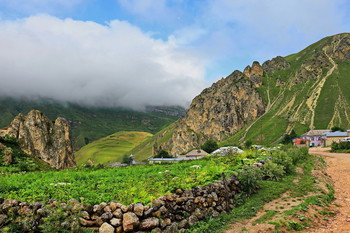 Весенний пейзаж / Снимок сделан в Азербайджане