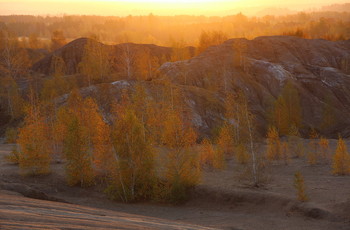 Золото в лучах Солнца / Кондуки, Тульская область, рассвет. Золотая осень.