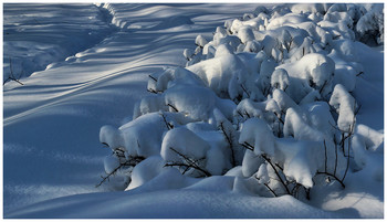Снежное, снежное ... / Московские парковые зарисовки...