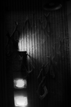 &nbsp; / Fantasie im Halbdunkel