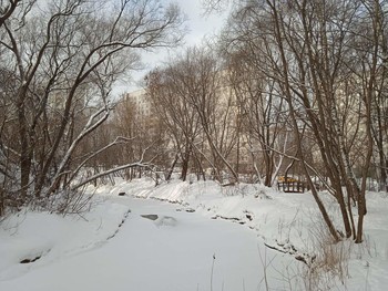  / река в старом парке зимой