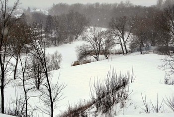 Холодно, снежно, метельно и ветрено / Холодом, снегом, метелью и ветром февраль накрыл природу