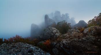 Туман в горах / осень