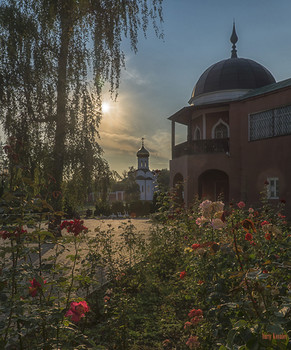 Солнце / Николо-Угрешский монастырь