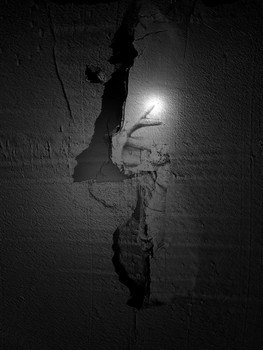 &nbsp; / Licht und viel Schatten