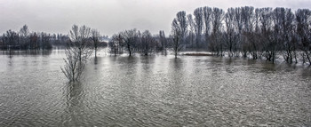 Большая вода / на Рейне