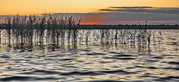 Облачный закат / Август. Закат