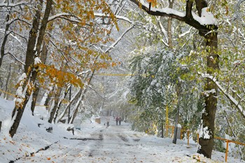 Солнечным утром....... / Железноводск. Ноябрь