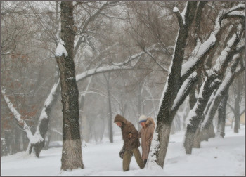 Снежная городская зарисовка ... / Снег по колено, снег везде, снег в лицо !!!