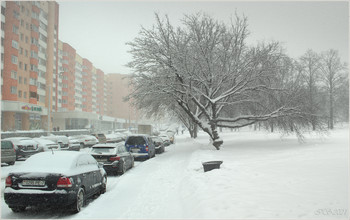 в городе снегопад / [img]https://i.imgur.com/vuYZo0W.jpg[/img]