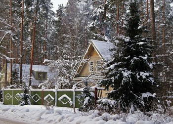 у Зимы в гостях / у Зимы в гостях