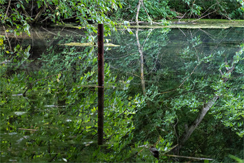 *глубина *мутности* / *-*