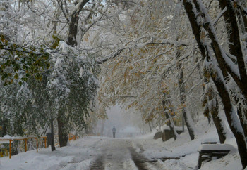 В заснеженном царстве........... / Железноводск. Ноябрь