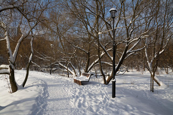 скоро весна / зима, парк, Москва