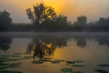 Лето. Рассвет / Летнее утро на озере Студёное.