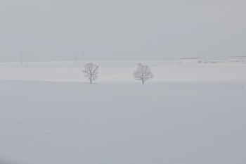 зима / Беларусь