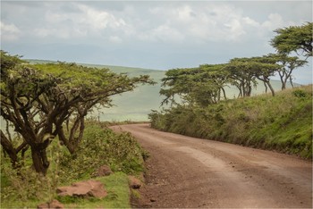 в Танзании / Нгоронгоро в Танзании