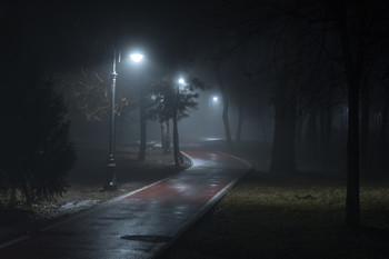 ночная аллея в тумане / парк,аллея,февраль