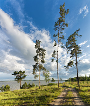 лето / Обское море