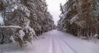 Дорога в зимний лес... / ...