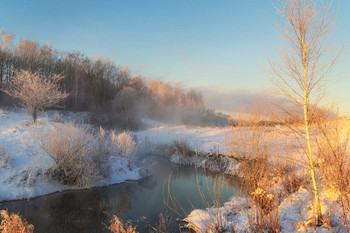Освещённая солнцем / Морозное утро