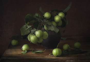 Зелёные яблоки / натюрморт