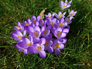 Крокусы 2021 / Dahliengarten Hamburg

https://www.youtube.com/watch?v=YIZZSauDE3w

Rosengarten. Planten un Blomen Hamburg:

https://www.youtube.com/watch?v=tKJmmXxh-1U&amp;t=8s

Слайд-шоу &quot;Парк цветов летом&quot;

https://www.youtube.com/watch?v=glVWjqRqZr0

Слайд-шоу &quot;Парк цветов весной&quot;

https://www.youtube.com/watch?v=kJVKlWcQxCg

Слайд-шоу &quot;Парк цветов осенью&quot;

https://www.youtube.com/watch?v=_Q7gRXGUa5A

Слайд-шоу &quot;Розы&quot;

https://www.youtube.com/watch?v=2jSTxDgGqsI

Слайд-шоу &quot;Цветы&quot;

https://www.youtube.com/watch?v=JYadETNgWMY