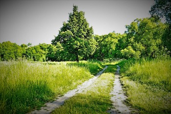 **Киржач недалеко речка / Природа Киржача