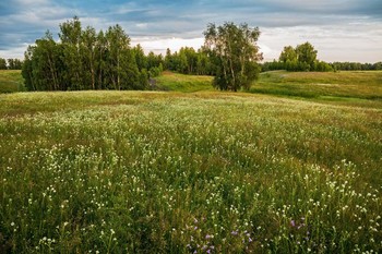 &nbsp; / окрестности п.Новочувашский,Татарстан