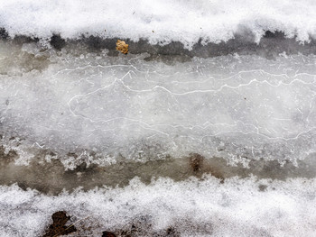 Узоры / На замерзшем ручье. Ранним утром февраля. В последний день зимнего месяца. Когда подморозило немного.. Линии узора на поверхности льда. Слева как голова, и в длину справа узором как туловище...