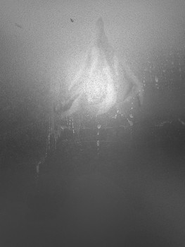 &nbsp; / Tränen zum Abschied