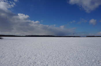 Зимнее поле / Зимнее поле