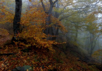 Утро осеннее........... / Железноводск. Октябрь