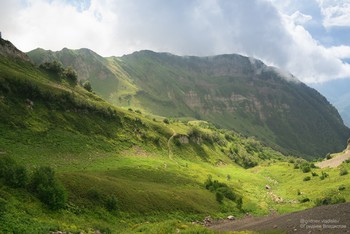 Альпийские луга. Аибга / ***