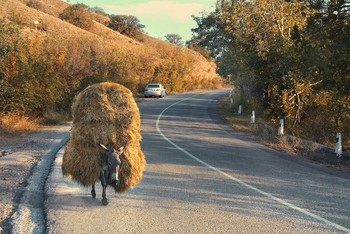 Лошадиные силы / по пути в Крым