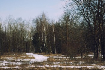&nbsp; / весна
