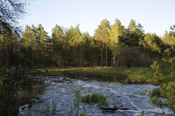 Лесная речка / Реки житомирщины