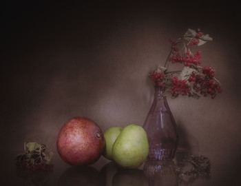 C фруктами / Натюрморт с фруктами, гербарий. Калина перезимовала