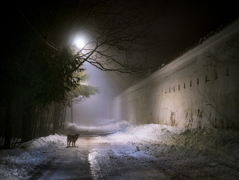 Путь не близкий / г. Новгород Великий, окрестности. Юрьево.