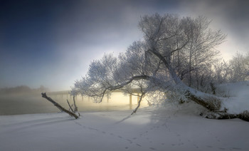 Зимы последнее дыханье.. / Московская область, г. Шатура, озеро Святое, февраль 2021 года.