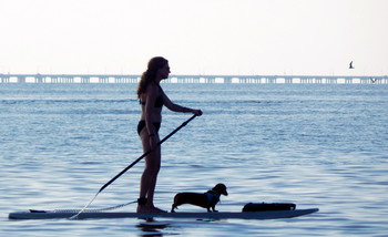 в Чесапикском заливе / ***
