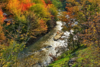 Осенний пейзаж / Горная река