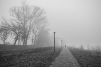 В туман уходящие... / Misty Morning///