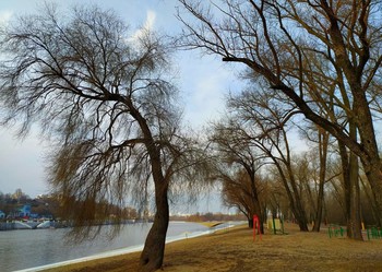 Старые ивы проснутся весною... / Ночь опускаясь ложится тихонько землю собою лаская легонько..