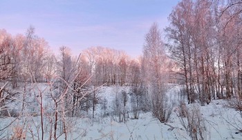 Вечерняя солнечная подсветка / Вечерняя солнечная подсветка деревьев покрытых инеем