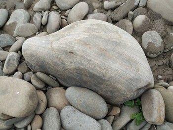 Камень-дельфин / Камень в виде головы дельфина среди речных камней